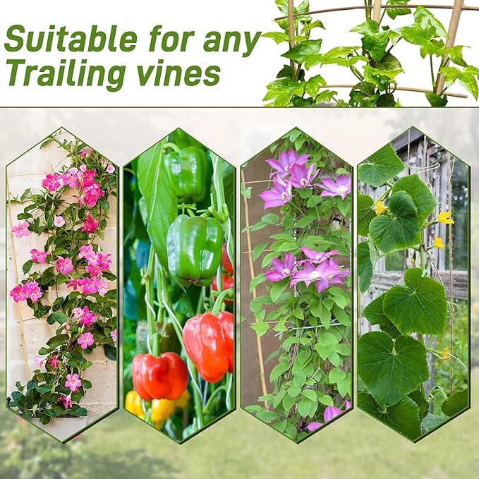 Avalution 10 Pack Bamboo Trellis for Climbing Plants, 2 FT Garden Ladder Trellis for Potted Plants Indoor, Fan-Shaped Small Plant Support Trellis for Houseplants Ivy Hoya Vine Monstera