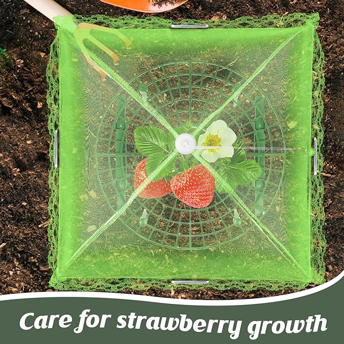 6 Sets Strawberry Plant Support with Mesh Plant Cover,Strawberry Growing Racks Sets with Iron Plant Nails and Storage Bag for Garden Strawberry Vegetables(Green Net - Round)