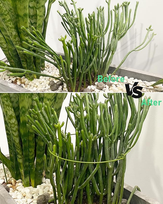3-Pack Heavy Duty Plant Support Stakes, Metal Plant Ring Cages for Indoor Outdoor Plants, Adjustable Garden Stakes for Peonies, Monstera, Pothos, Hydrangea, Vines & Potted Plant (10" W x 17" H)