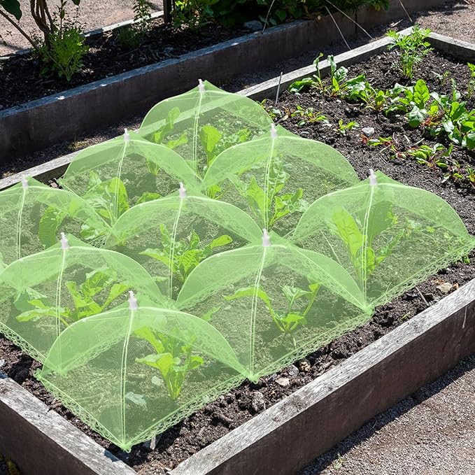 6 Sets Strawberry Plant Support with Mesh Cover - Square Gardening Frame, Animal Barrier, Iron Stakes & Storage Bag for Healthy Strawberries, Tomatoes, Veggies (Green) (6 pcs)