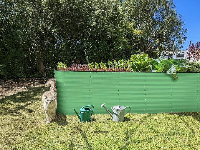 Plant & Plot Galvanized Raised Garden Beds Outdoor // 8×2×2 ft Planter Raised Beds for Gardening, Vegetables, Flowers // Large Metal Garden Box (Light Green) // Patented Tool-Free Design