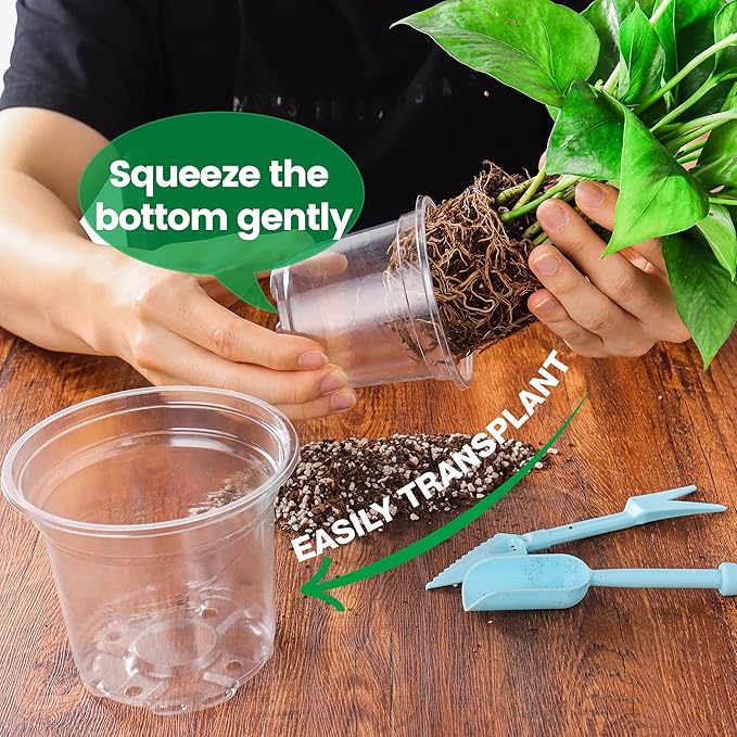 8 Packs 8 Inch Reinforced Large Clear Nursery Pots with Sacuers, Transparent Plastic Plant Pot Seedling Planter with Drainage Holes for Vegetable Propagation, Root Cutting, Seed Starting