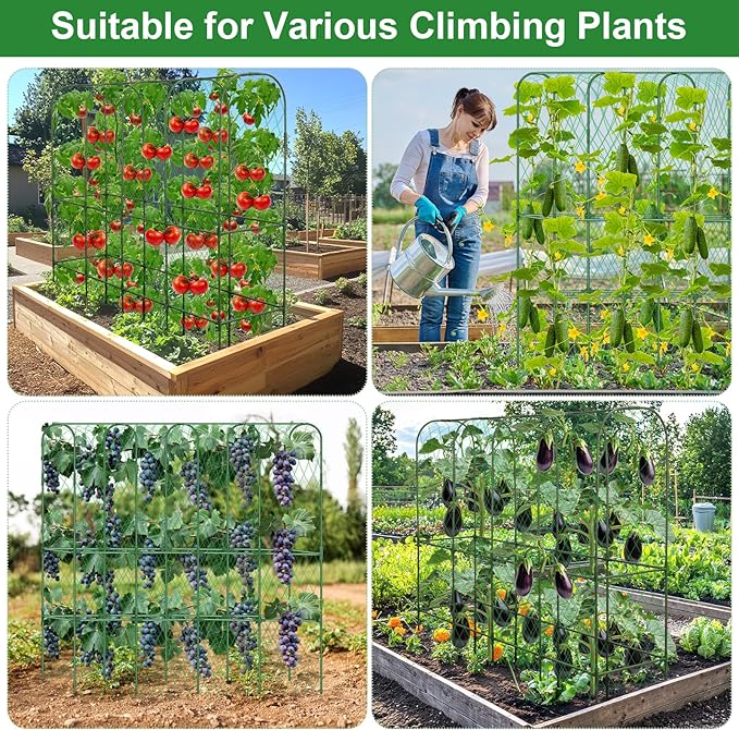 Cucumber Trellis for Raised Bed 5.4x5.5ft U-Shape Adjust Metal Garden Trellis for Climbing Plants Outdoor with Climbing Net Vegetable Arch Trellises Support Plant for Tomato Pea Fruit Squash Trellises