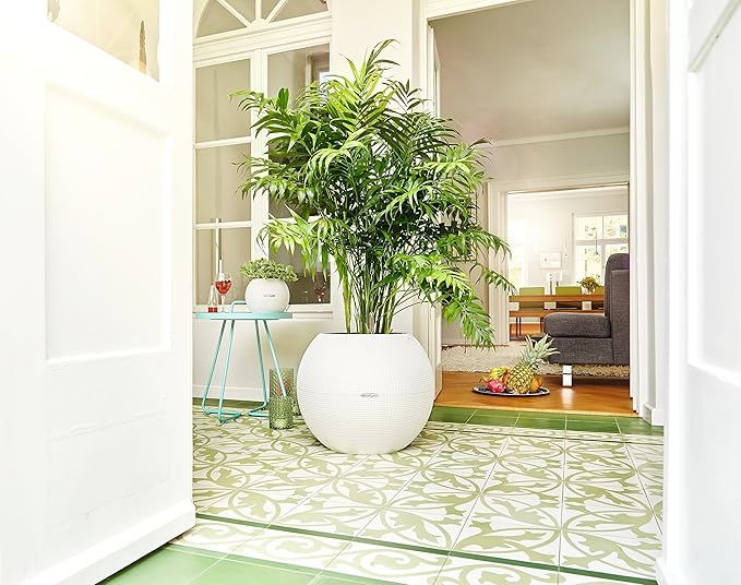 Lechuza Puro Color 50 White, Self-Watering Large Round Planter, D19.7 H15.4 in