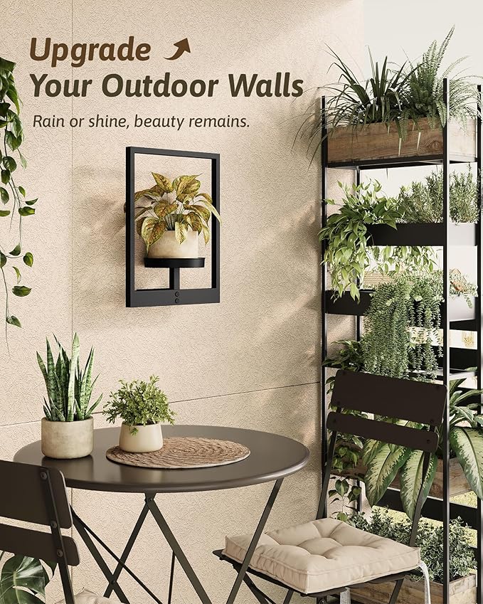 Wall Plant Holder Wall Planters for Indoor Plants Plant Wall Shelf Plant Hanger Indoor Hanging Plant Holder Plant Wall Hanger for Living Room Window Balcony