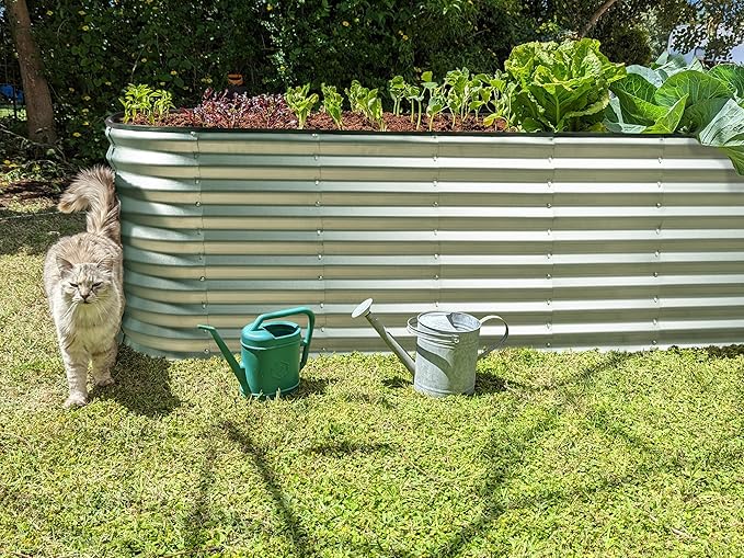 Plant & Plot Galvanized Raised Garden Beds Outdoor // 6×2×2 ft Planter Raised Beds for Gardening, Vegetables, Flowers // Large Metal Garden Box (Silver) // Patented Tool-Free Design