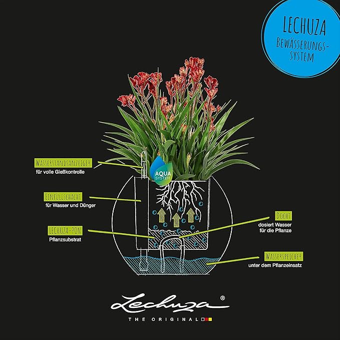 Lechuza Puro Color 20 White, Self-Watering Small Indoor Planter, D7.9 H6.3 in
