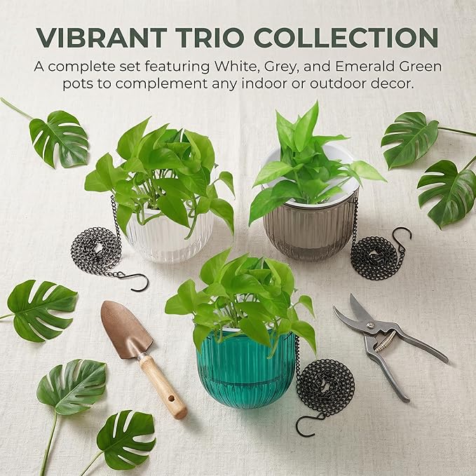 3 Pack Self Watering Hanging Planters, 6.5 Inch Hanging Flower Pot with Drainage Hole, Plastic Hanging Basket with 3 Hooks Chains, Plant Hanger for Indoor Outdoor Plants, Herbs (3 Colors)