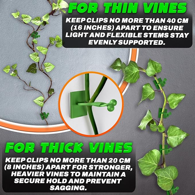 Plant Wall Clips for Climbing Plants 110 Pcs - Pothos Plant Climber Support, Large, Medium, Small Sizes Wall Clips for Support, Strong Self-Adhesive, For Indoor Plants, Cable Management & Plant Holder