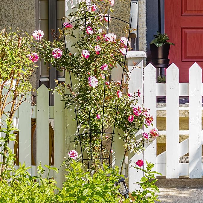 4 Pack 32'' Garden Trellis for Climbing Plants Outdoor Metal Trellis for Potted Plants Indoor Fan Shape Plant Support for Houseplant Flower Ivy Vine