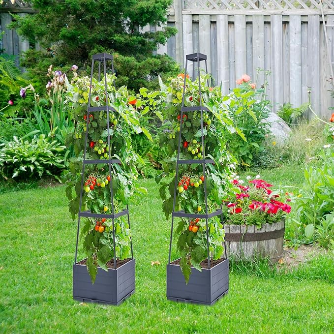 GENMOUS Raised Garden Bed with Tomato Planter Box Trellis, 56'' Tomato Cages for Garden, Tomato Planter Cage for Patio for Climbing Plants Vegetable Vine Flowers Outdoor & Indoor, 2 Pack
