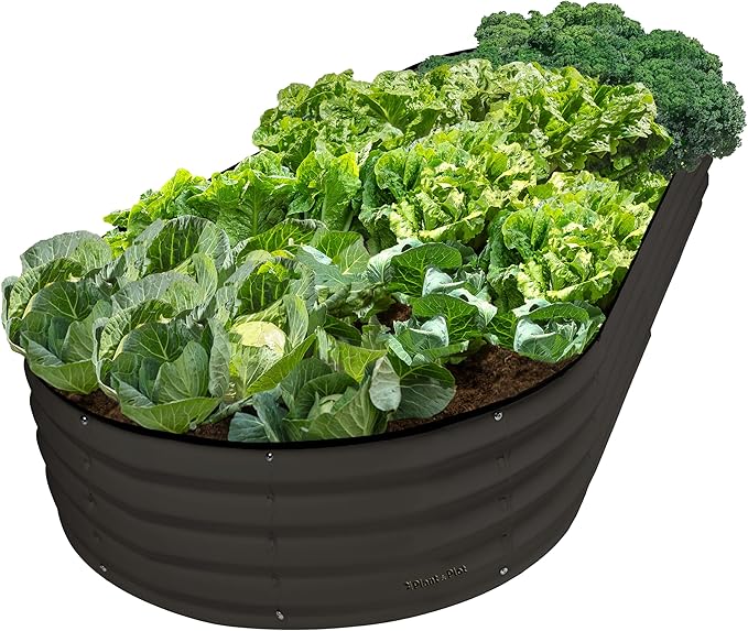 Plant & Plot Galvanized Raised Garden Beds Outdoor // 8×4×1 ft Planter Raised Beds for Gardening, Vegetables, Flowers // Large Metal Garden Box // Patented Tool-Free Design (Black)