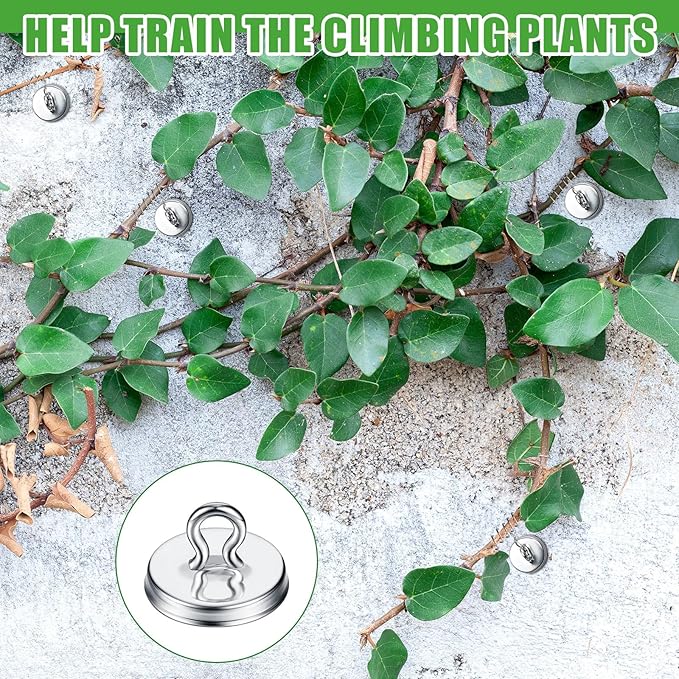 WILLBOND Plant Anchor Kit, 80 Pcs Vine Anchors 5 Pack Silicone Adhesive Sealant Garden Tie Tape Metal Wire Wire Cutters for Spring Trellis Vine and Stucco Brick Wall Climbing Plants Supplies(Silver)