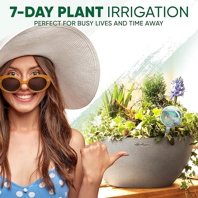 Clear Plant Watering Globes Set of 6 - Large Self Watering Globes for Indoor & Outdoor Plants - Automatic, Glass Watering Bulbs for Daily Use, Plant Watering Devices
