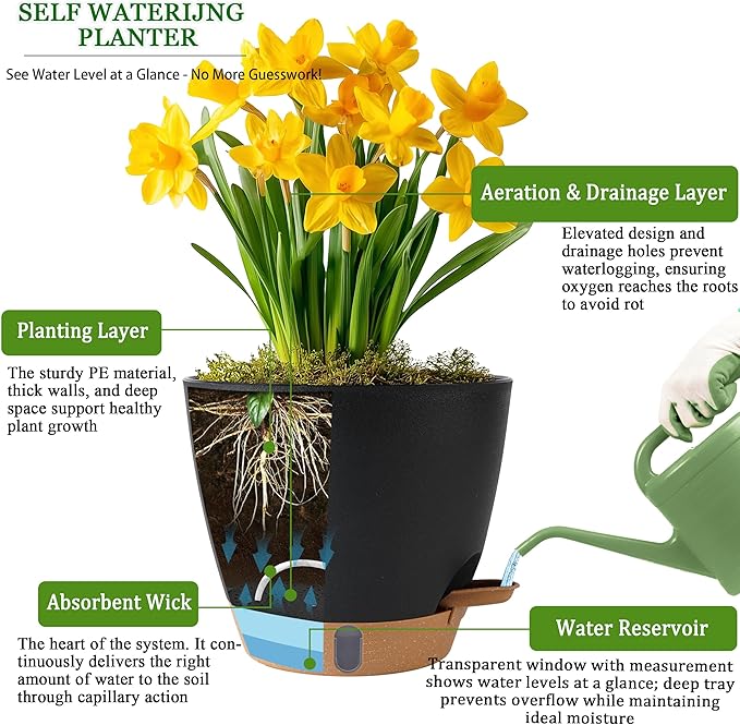Self Watering Pots for Inoor Ourdoor Plants 8/7/6.5/6/5 Inch Plastic Planters with Drainage Holes & Water Level Indicator, Decorative House Flower Nursery Planting Pots with Saucers (Black)