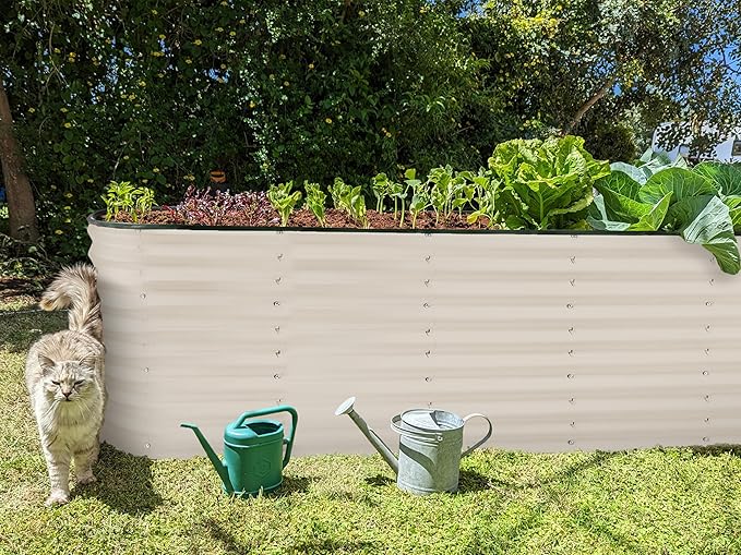 Plant & Plot Galvanized Raised Garden Beds Outdoor // 6×2×2 ft Planter Raised Beds for Gardening, Vegetables, Flowers // Large Metal Garden Box (White) // Patented Tool-Free Design