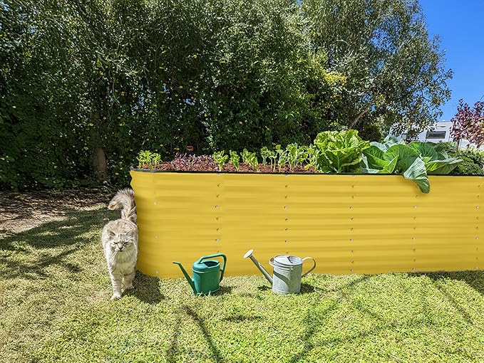 Plant & Plot Galvanized Raised Garden Beds Outdoor // 8×2×2 ft Planter Raised Beds for Gardening, Vegetables, Flowers // Large Metal Garden Box (Yellow) // Patented Tool-Free Design