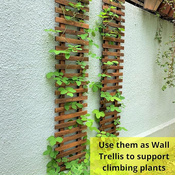 ShopLaLa Wall Planter – Hanging Planter for Indoor Plants, Plant Stand, Air Plant Succulent Holder, Vertical Garden. Large Wall Decor for Living Room, Room Decor for Teens