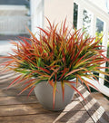 Ivydale 12Pcs Fake Plants Outdoor Artificial Plastic Grass Spring Decoration UV Resistant Faux Greenery Stems Bushes Outside Fake Plants for Planters Patio Porch Window Box Pathway Garden Home Decor