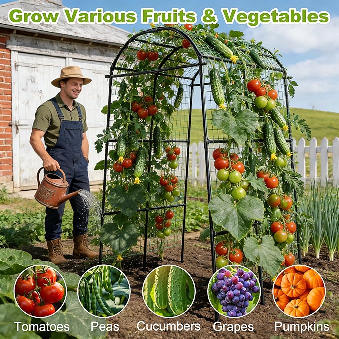 Miory Garden Arch Trellis for Climbing Plants Outdoor, Metal Plants Support Trellis for Climbing Vine Tomato Vegetable Flower Fruit, Cucumber Trellis for Raised Bed (71 x 83 Inch)