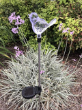 Solar Garden Stake Lights with Color Changing LED or Regular White LED Landscape Path Lights (Set of 2) (Bird)