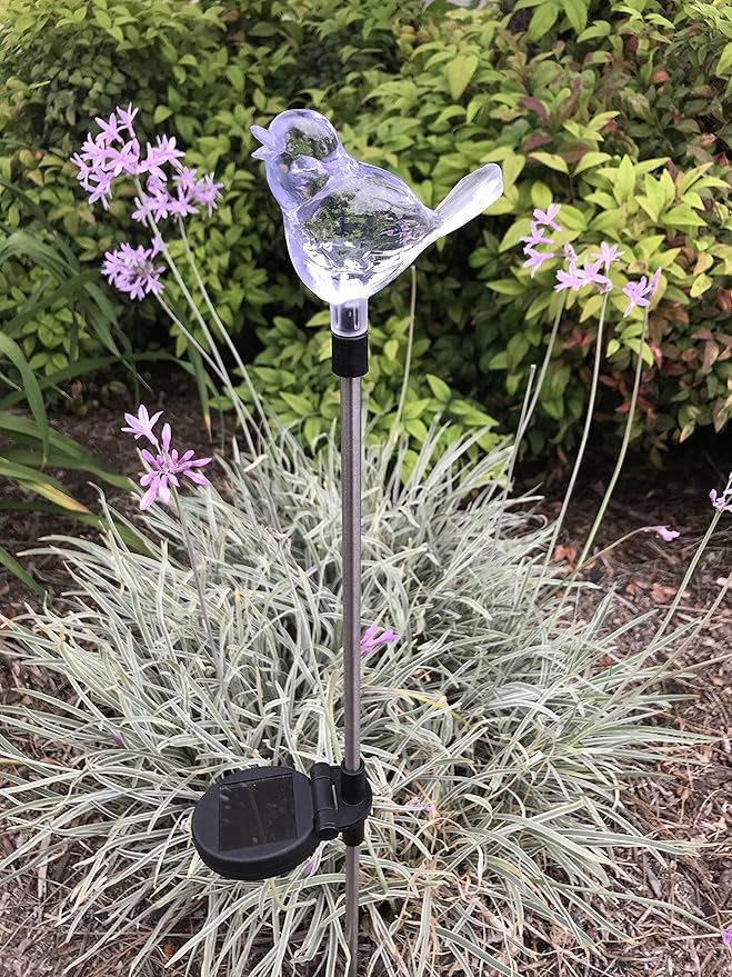 Solar Garden Stake Lights with Color Changing LED or Regular White LED Landscape Path Lights (Set of 2) (Bird)