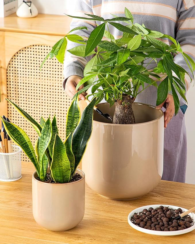 vancasso 6+8+10 inches Ceramic Plant Pots, Set of 3, Planters with Drainage Hole, Flower Pots Planters Pots for Indoor Plants, Modern Indoor Decorative Garden Pot, Home Decor, Brown