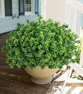Artificial Fake Outdoor Plants for Spring Summer Decoration, 12 Bundles Fake Plastic Roses UV Resistant Look Real Faux Plants for Planter Outside Front Door Porch Patio Balcony Garden Indoor Yard Urn