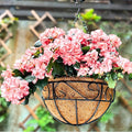 LaLaGreen Hanging Planter for Outdoor Plants (14 Inch, 6 Pack) Hanging Baskets with Coco Liner, Black Metal Wire Flower Basket Pots with Hook Hanger Balcony Porch Farmhouse Country Style Garden Decor