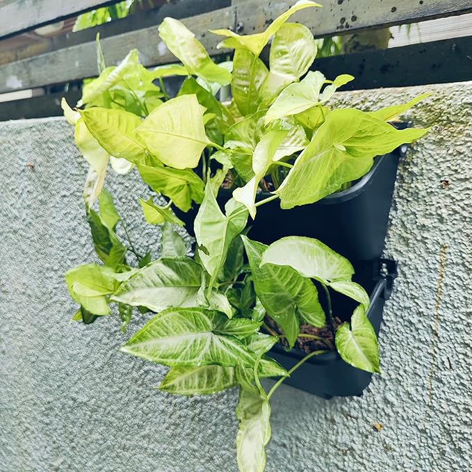Maxona Black Color Vertical Garden Planter - 2 Pack, 13 inch Wall Mounted Planter for Patio Outdoor Decor, Home Plastic Pot Balcony Plant Vegetable Fruit Herb Hanging Pocket Holder Flowerpot