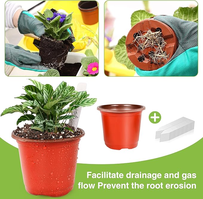Plant Nursery Pot/Pots 200 Pcs 6" Plastic Plants Pots Flower Pots Seed Starting Pots for Plants Indoor Outdoor Seeding pots (with 200 Plant Labels)