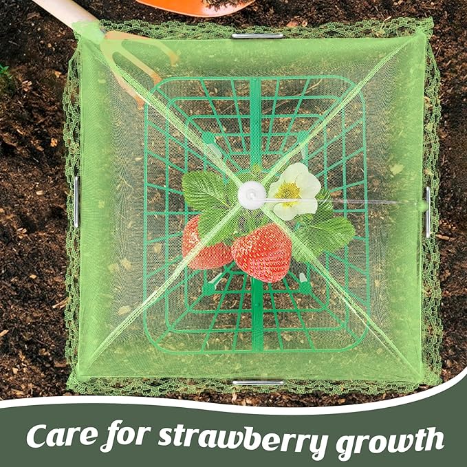 4 Sets Strawberry Plant Support with Mesh Plant Cover,Strawberry Growing Racks Sets with Iron Plant Nails and Storage Bag for Garden Strawberry Vegetables(Green Net - Square)