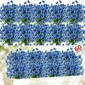 60 Pack Artificial Flowers for Outdoor Indoor Fake Plants, Faux Silk Flowers for Outdoors Outside Front Porch Hanging Planter Window Box Garden Spring Decoration(Blue)