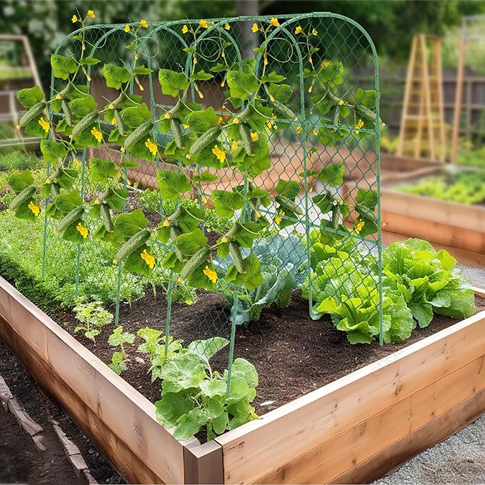 Cucumber Trellis, 47" X 50" Arch Garden Trellis for Climbing Plants Outdoor, Foldable Trellis Cucumber for Raised Bed Vegetable/Tomato/Flowers/Pea