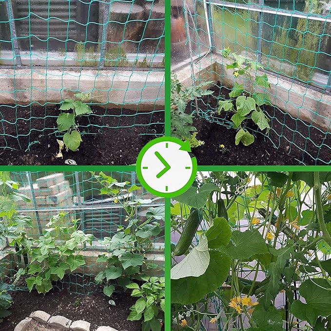 Trellis Netting for Climbing Plants - Heavy Duty Garden Trellis Netting for Cucumber, Vine, Fruits & Vegetables Tomato Plants Trellis Net, Climbing Vining Plants (1-Pack 32.8' x 6.6'Ft)