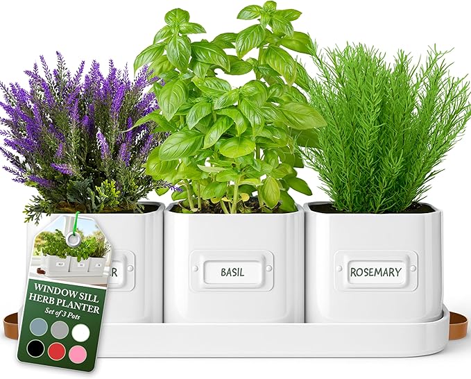 volila Herb Planter Indoor - Set of 3 Warmstone Indoor Herb Garden Pots for Plants with Leather Handled Tray - Window Sill Plant Shelf - Herb Pots with Drainage Holes and Labels