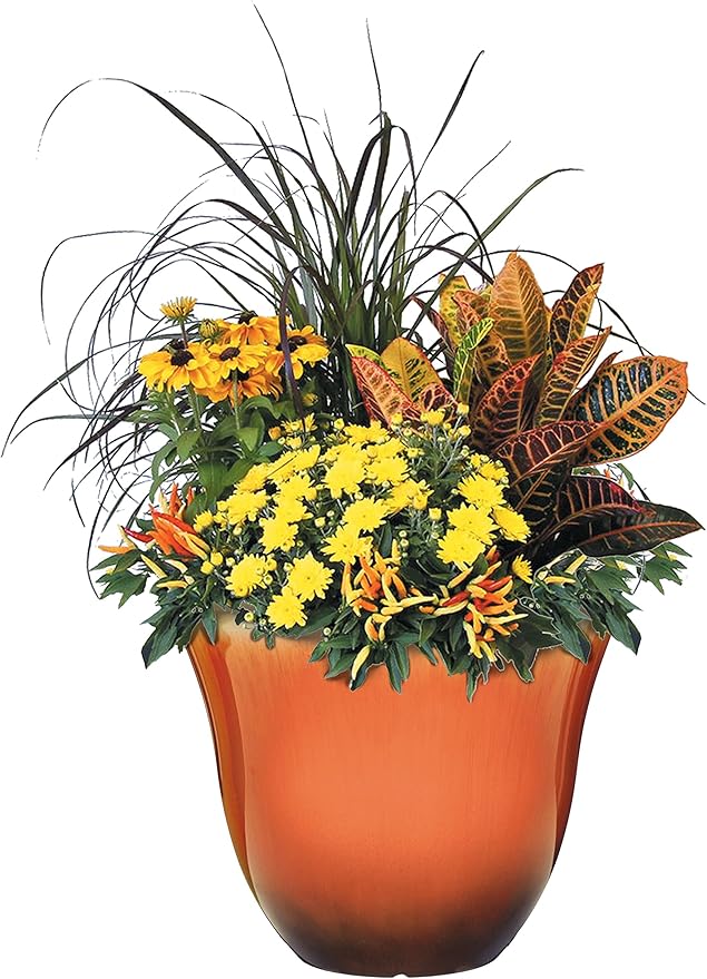 Classic Home and Garden Resin Planter, 15" | Tequila Sunrise | Pack of 2 | Flower Pot