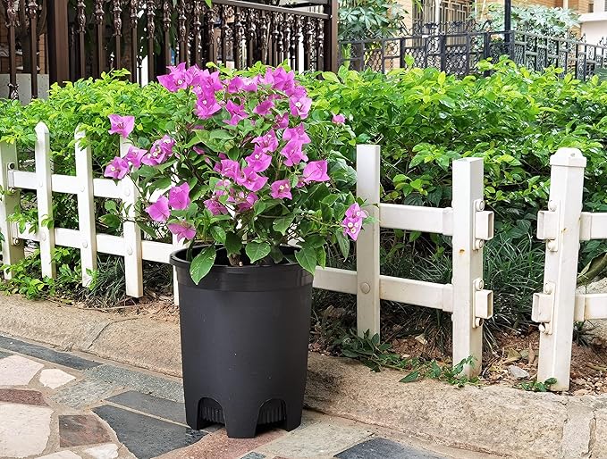 5 Gallon 10-Pack Nursery Pot Black Plastic Planters with Drainage for Outdoor Indoor Large Plants Trees