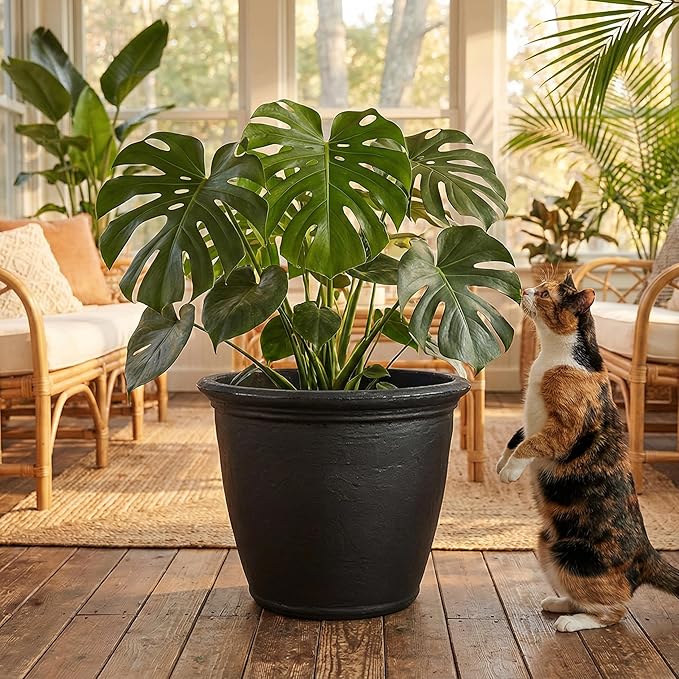 Sunnydaze 20-Inch Anjelica Large Plastic Pot for Plants - Outdoor Double-Walled Large Plastic Planter with Drillable Drainage Holes - Matte Black