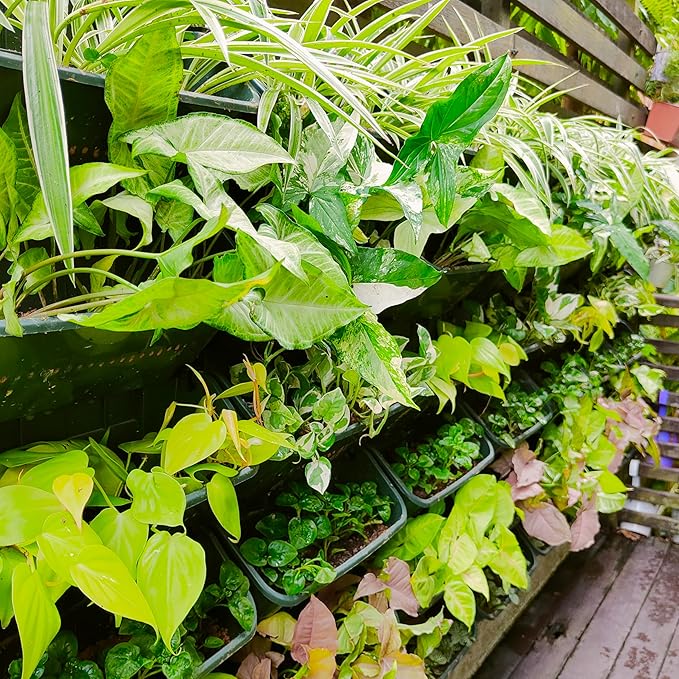 Maxona Black Color Vertical Garden Planter - 8 Pack, 13 inch Wall Mounted Planter for Patio Outdoor Decor, Home Plastic Pot Balcony Plant Vegetable Fruit Herb Hanging Pocket Holder Flowerpot
