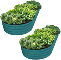 Plant & Plot Galvanized Raised Garden Beds Outdoor // 8×4×1 ft (2-Pack) Planter Raised Beds for Gardening, Vegetables, Flowers // Large Metal Garden Box // Patented Tool-Free Design (Turquoise)