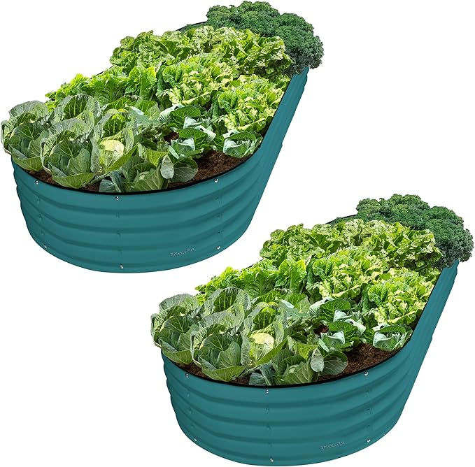 Plant & Plot Galvanized Raised Garden Beds Outdoor // 8×4×1 ft (2-Pack) Planter Raised Beds for Gardening, Vegetables, Flowers // Large Metal Garden Box // Patented Tool-Free Design (Turquoise)