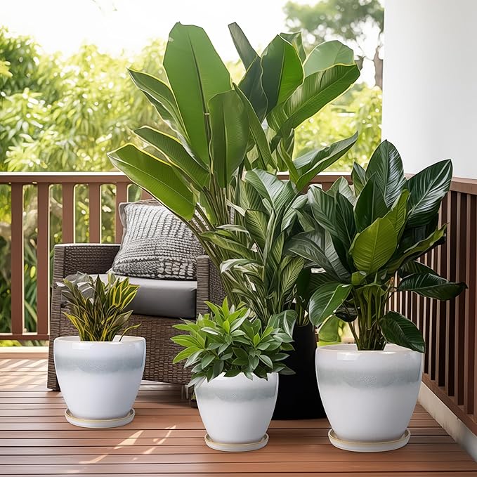 Ceramic Planter - 10 Inch Plant Pot with Drainage Hole and Plant Saucer, Round Decorative Large Flower Pots Indoor Outdoor, Home Patio Porch Room Decor, Birthday Gifts, White-Grey