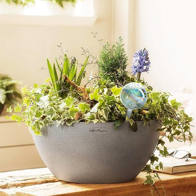 Clear Plant Watering Globes Set of 6 - Large Self Watering Globes for Indoor & Outdoor Plants - Automatic, Glass Watering Bulbs for Daily Use, Plant Watering Devices