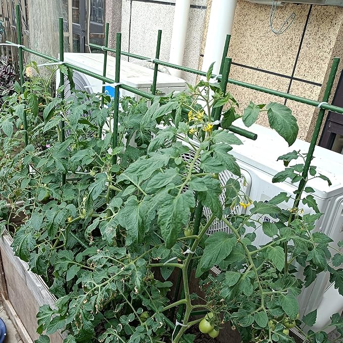 4Feet 48inch Garden Stakes Sturdy Plant Sticks Support Tomato Stakes for Vegetable,Pack of 20