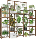 Plant Stand Indoor Outdoor 63" Tall Plant Shelf for Plants 14-Tier Large Plant Sheves for Living Room Heavy Duty Plant Rack Garden Balcony Patio Hanging Planter