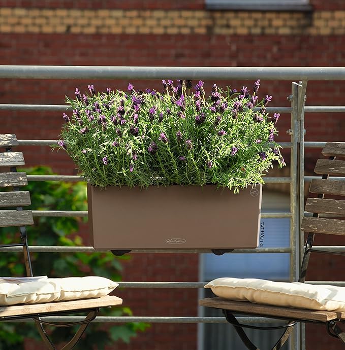 Lechuza BALCONERA Color 50 Nutmeg, Self-Watering Window Box (Railing Planter), H7.5 L19.7 W7.5 in