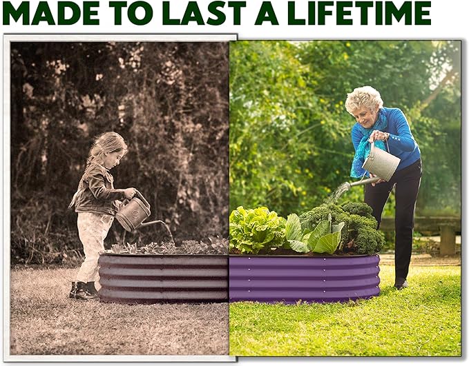 Plant & Plot Galvanized Raised Garden Beds Outdoor // 4×2×1 ft (2-Pack) Planter Raised Beds for Gardening, Vegetables, Flowers (Purple) // Large Metal Garden Box