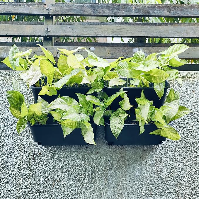 Maxona Black Color Vertical Garden Planter - 4 Pack, 13 inch Wall Mounted Planter for Patio Outdoor Decor, Home Plastic Pot Balcony Plant Vegetable Fruit Herb Hanging Pocket Holder Flowerpot