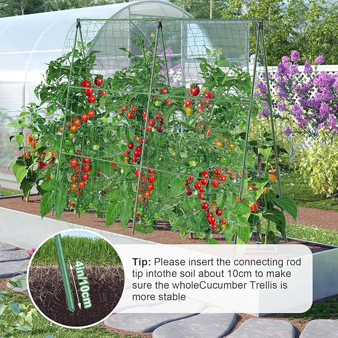 55" H x 36" W Cucumber Trellis for Raised Bed Garden, Cucumber Trelli for Climbing Plants Outdoor，A-Frame Vegetable Grow Supports, Tomato Plant Support for Tomato Squash Zucchini (1PC)